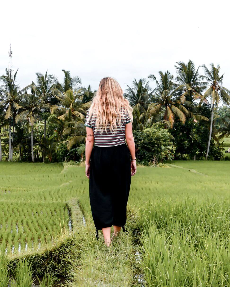 Reisfelder Ubud Bali